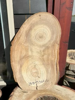 Eucalyptus